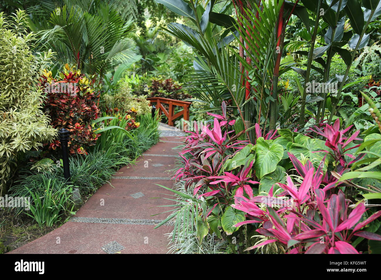 n-hot-springs-resort-and-spa-en-la-fortuna-provincia-de-alajuela-costa-rica-centroamerica-kfg5wt.jpg