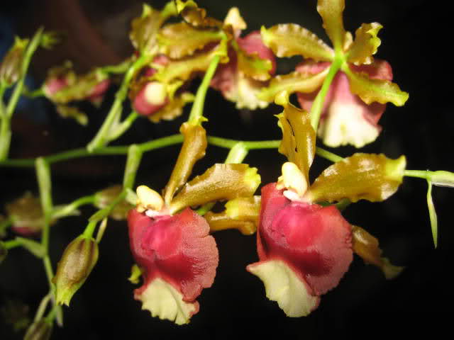 n345r6.jpg