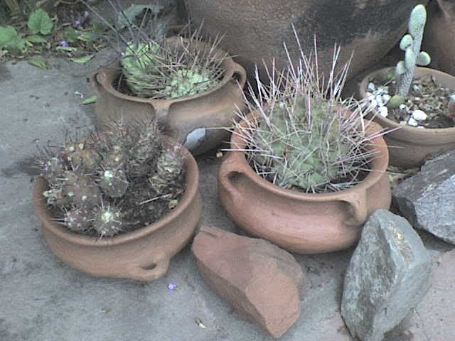 n4a26d.jpg