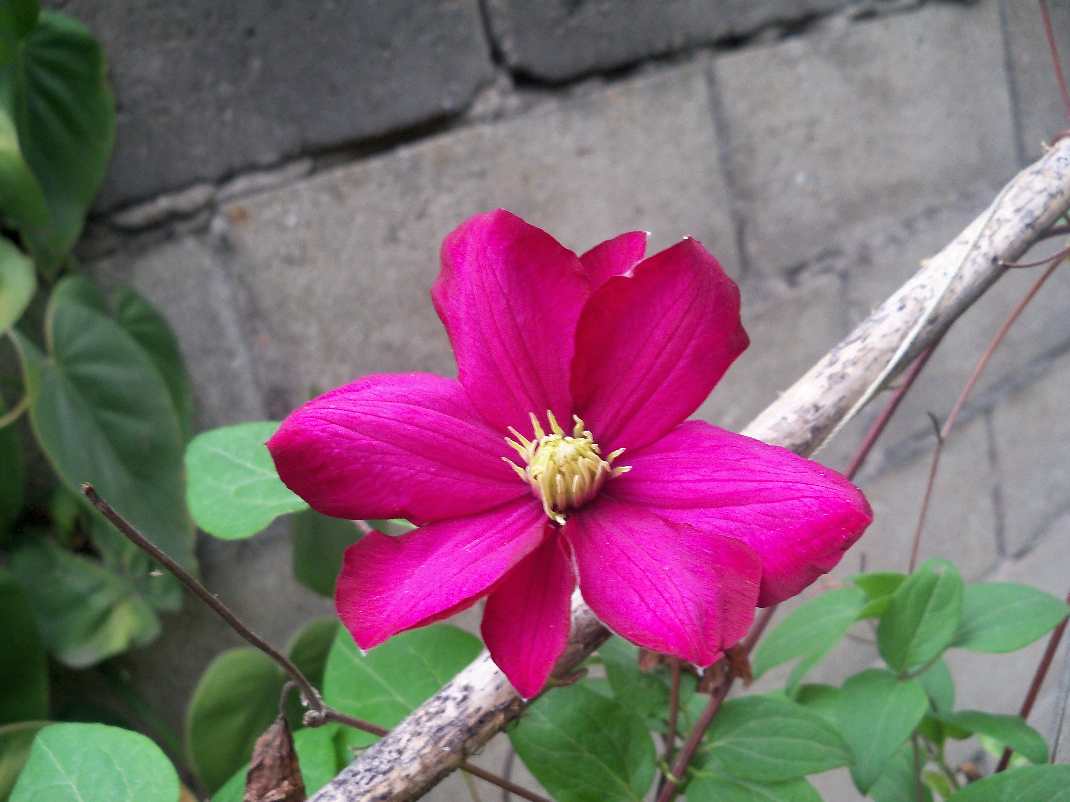 N8D1014115mWJ.jpg