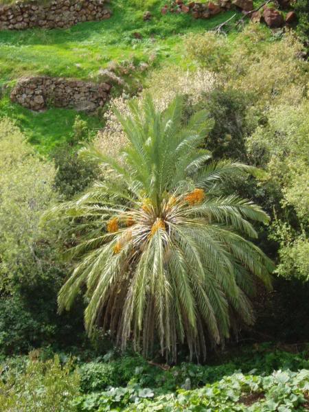 N95FotoBAbicor3112008_redimensionar.jpg