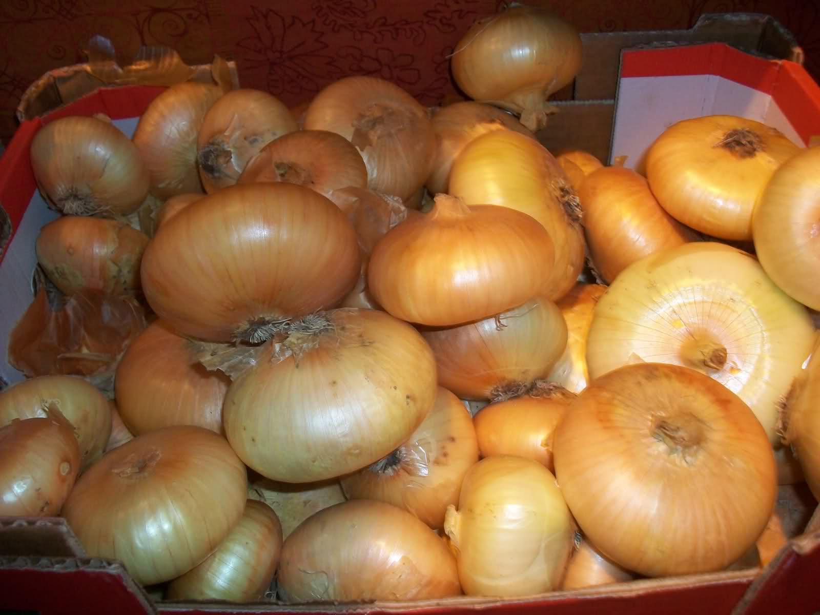 n9qfd.jpg