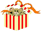n_caixa1.gif