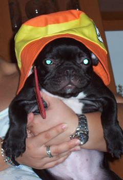 nahia_gorro2.JPG