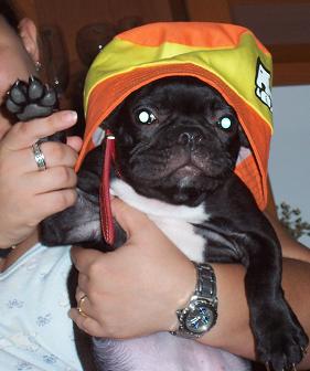 nahia_gorro3.JPG