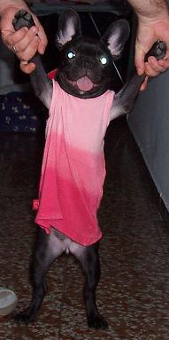 nahia_vestido2.JPG
