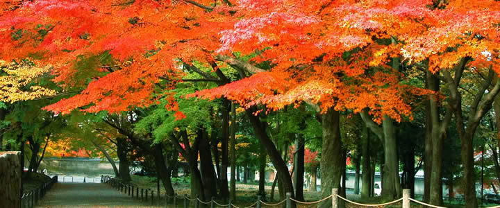 nanzenji-temple-sando.jpg