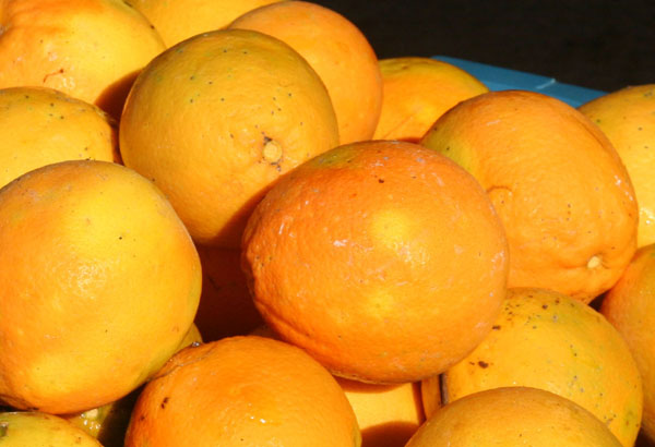 naranjas detalle.jpg