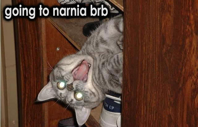 narniacat.jpg
