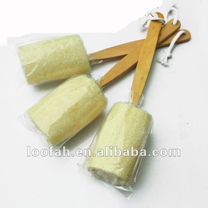 natural_loofah_loofa_luffa_wholesale.jpg
