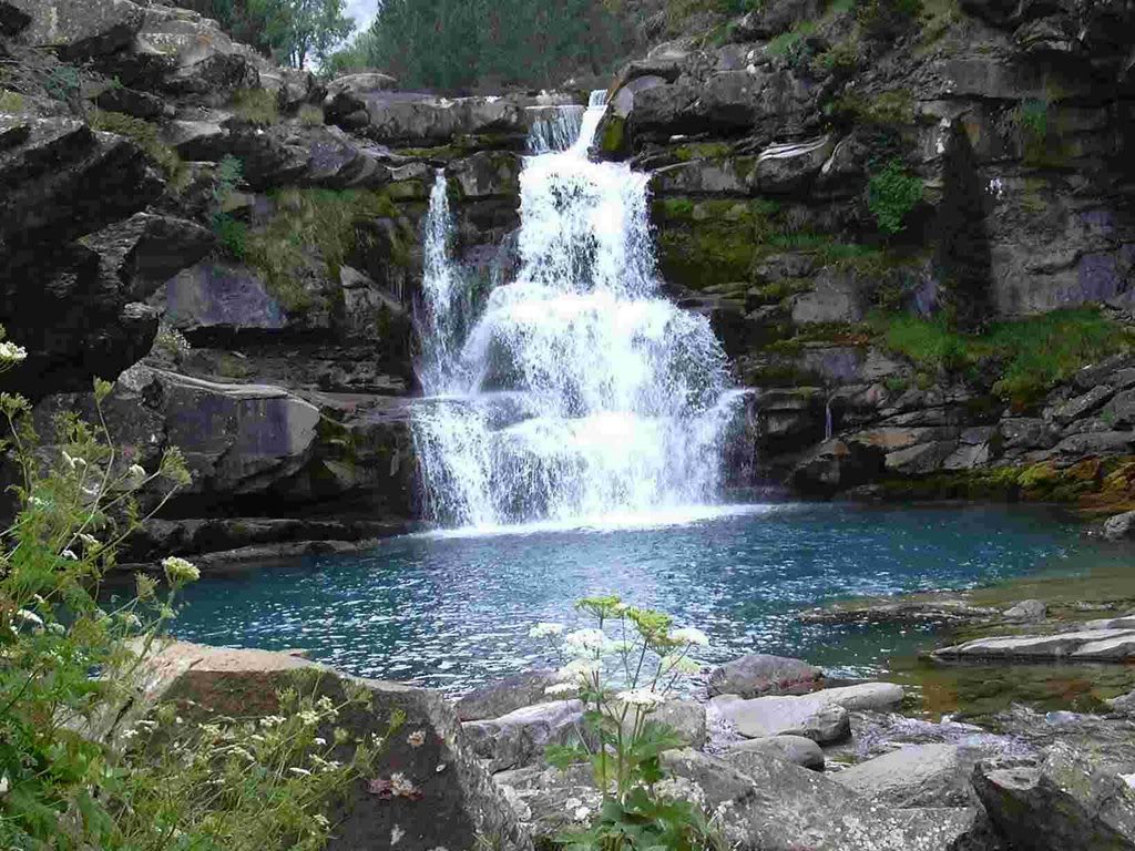 naturaleza.jpg