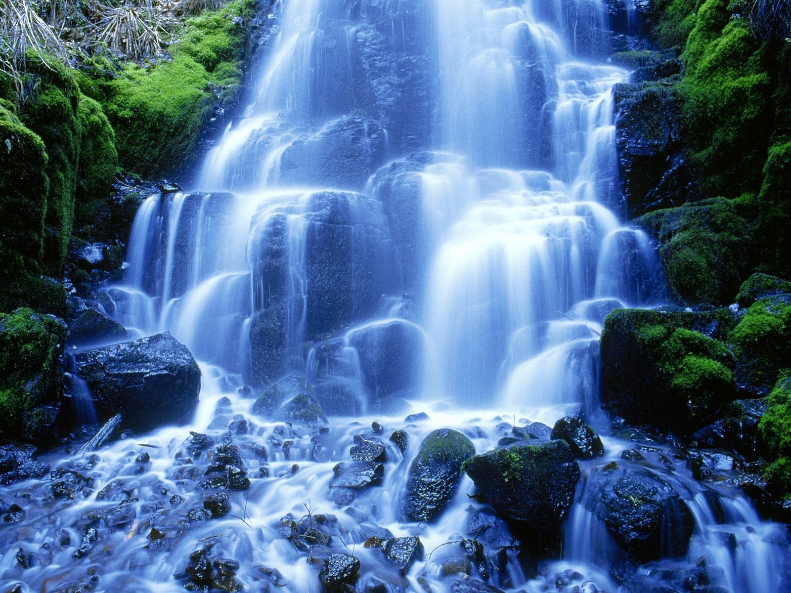 naturaleza.jpg
