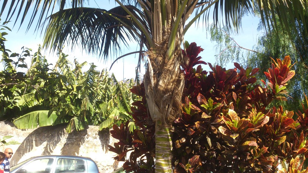 NaturalezaDSC_0075.jpg