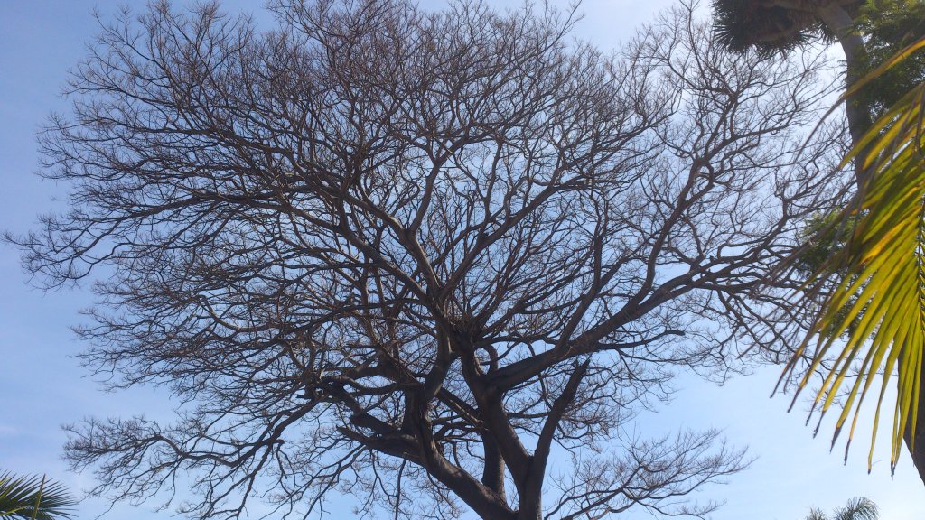 NaturalezaDSC_0078.jpg