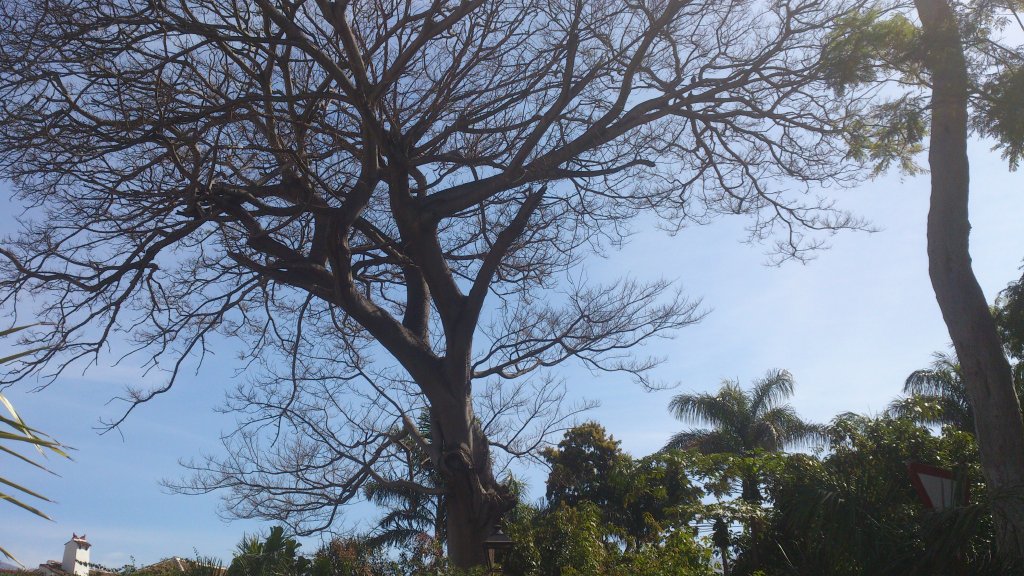 NaturalezaDSC_0079.jpg
