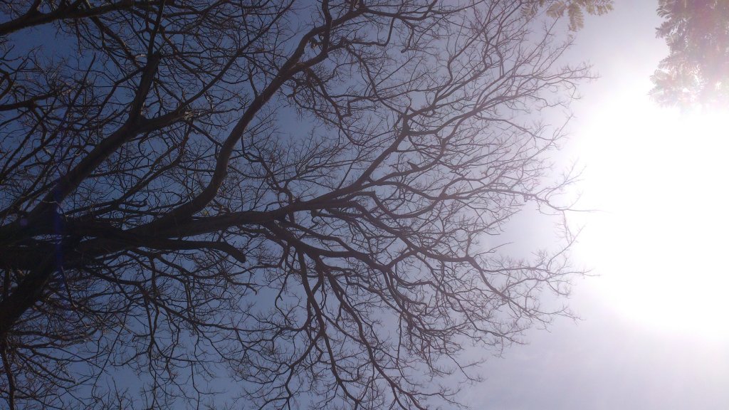 NaturalezaDSC_0098.jpg