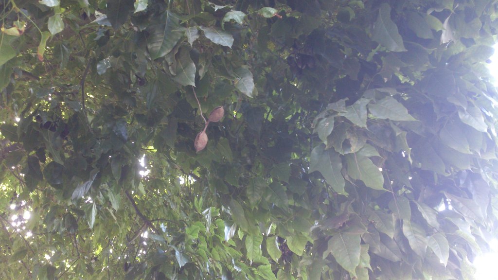 NaturalezaDSC_0107.jpg