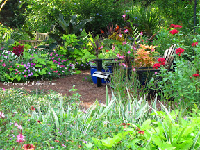 Naturalistic2_0012548.jpg