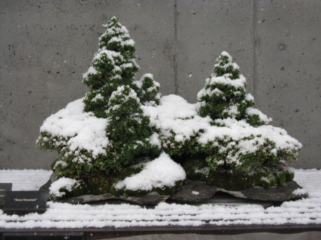 nature26.jpg