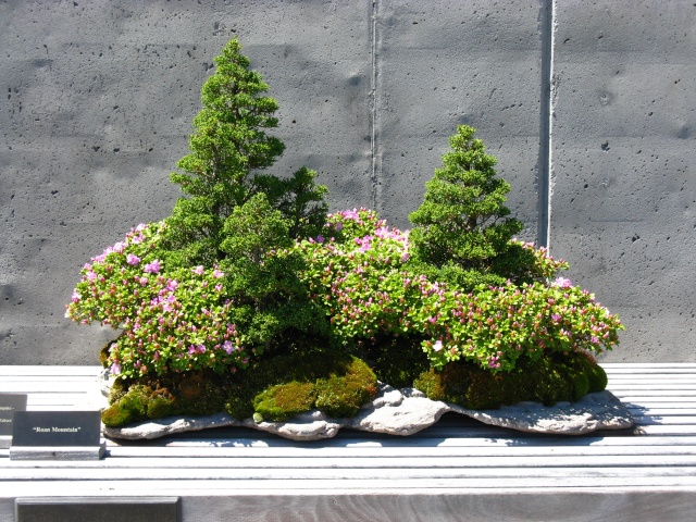 nature27.jpg