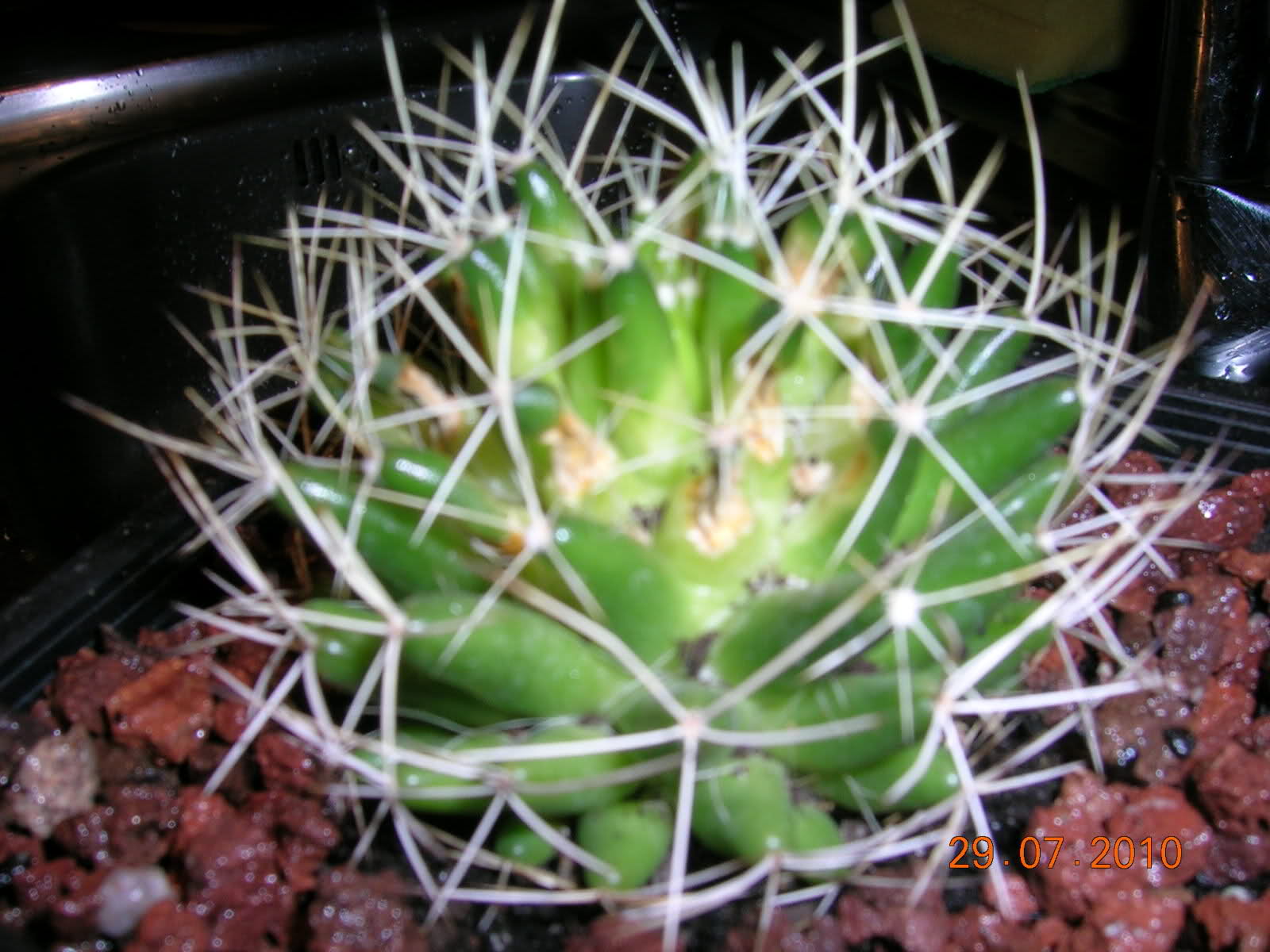 nbrd04.jpg