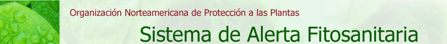 newLogo1_esp.jpg