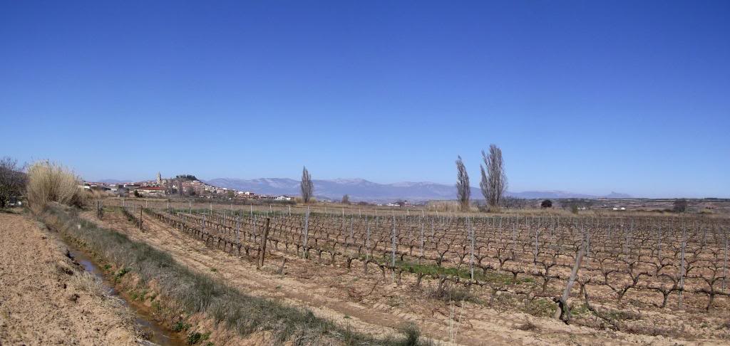 Newpanorama2-1.jpg