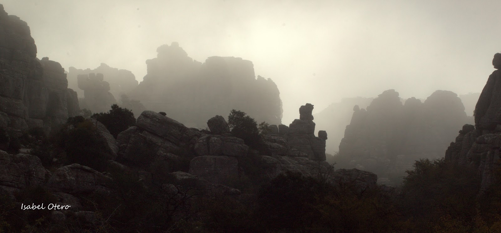 niebla%2Ben%2BEl%2BTorcal.jpg