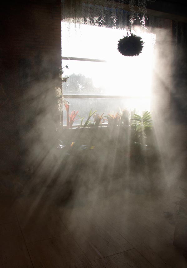 niebla_invernadero5.jpg