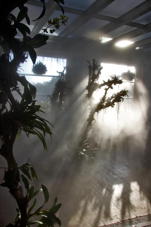 niebla_invernadero9.jpg