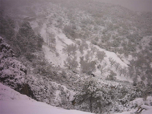 nieve-07-III.jpg