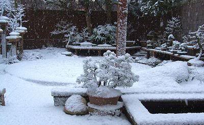 nieve2.jpg