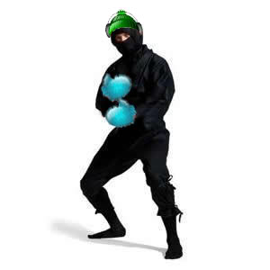 ninja-1.jpg