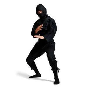 ninja.jpg