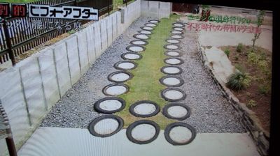 niwa%20kansei.jpg