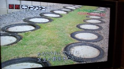 niwaniumeta%20tire.jpg