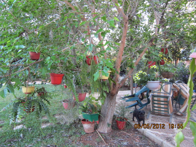 NlIIMG3084Azq.jpg