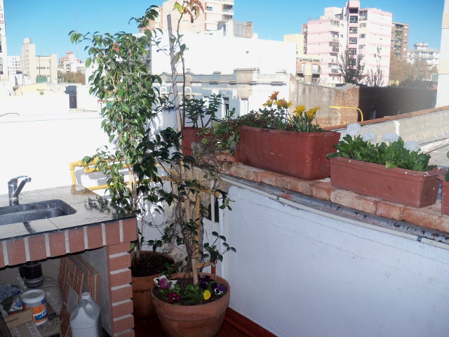 NmJg1013029JdN.jpg