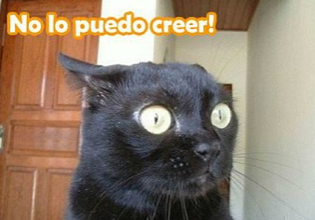 no-te-puedo-creer.jpg