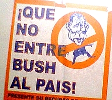 No_bush.jpg