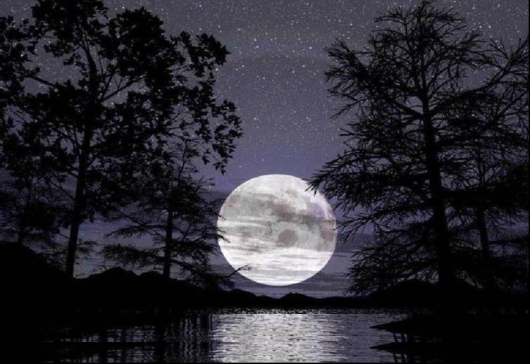 noche-de-luna.jpg