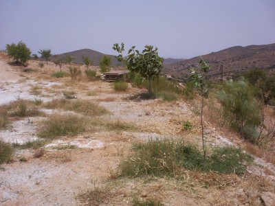 normal_000_0701.JPG