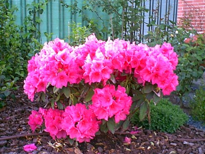 normal_001858.jpg
