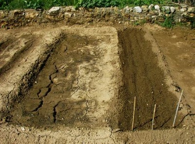 normal_005_plantat.JPG