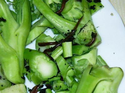 normal_010_cuquets.JPG