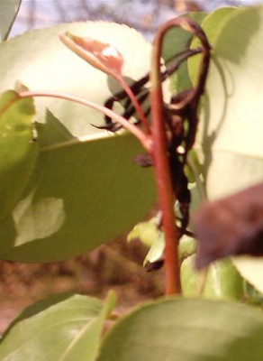 normal_0414_0008.jpg