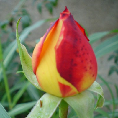 normal_05-10-02%20R03%2001.jpg