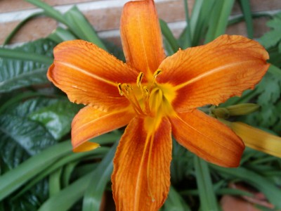 normal_05210003.JPG