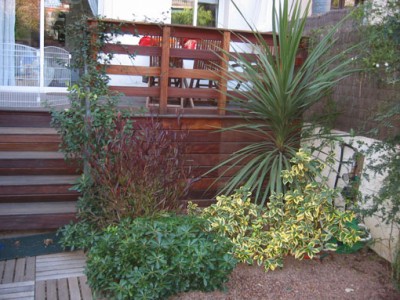 normal_100-0008_IMG.jpg