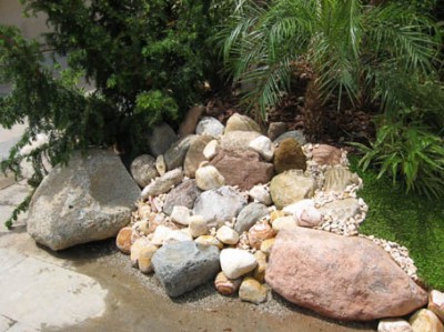 normal_100-0029_IMG.jpg